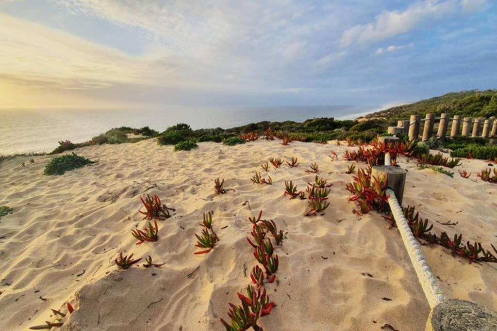 Secluded Beach House @Praia Da Gale 梅利迪什 外观 照片